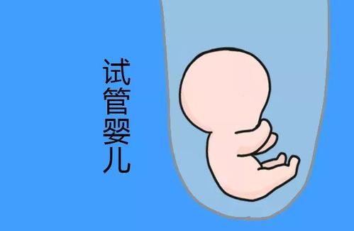 实验室 Fig.03